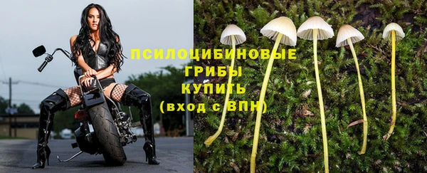 кокс Арсеньев