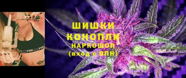 гашик Аркадак