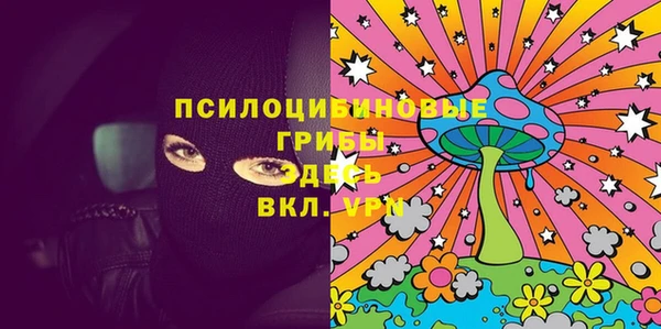 гашик Аркадак