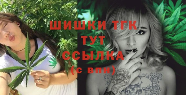 гашик Аркадак