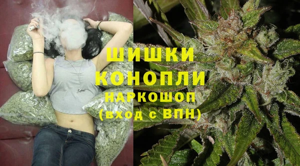 гашик Аркадак
