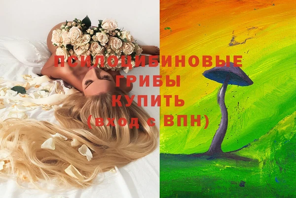 кокс Арсеньев