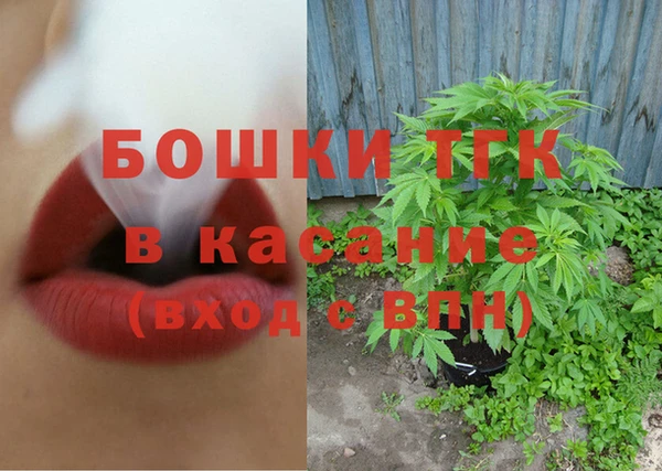 гашик Аркадак