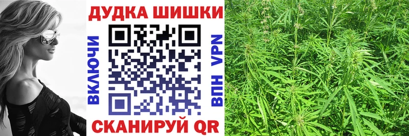 Шишки марихуана план  Балашиха 